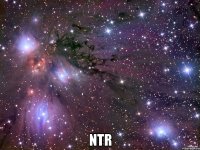  NTR