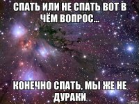 Спать или не спать Вот в чём вопрос... Конечно спать, мы же не дураки