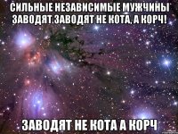 Сильные независимые мужчины заводят заводят не кота, а корч! заводят не кота а корч