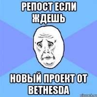 Репост если ждешь новый проект от Bethesda