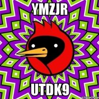 ymzJR UtDK9