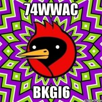 74WWAc bKGi6