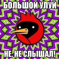 Большой улуй не, не слышал!