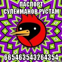 Паспорт Сулейманов Рустам 665463543264354