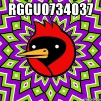 rggu0734037 