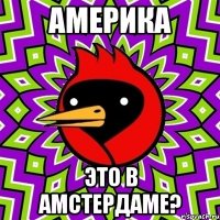 Америка Это в Амстердаме?