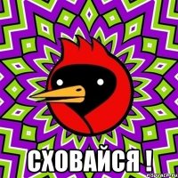  сховайся !