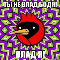 Ты не Влад Бодя! Влад я!