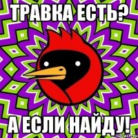 Травка есть? А если найду!