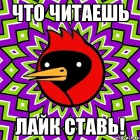 Что читаешь Лайк ставь!