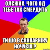 Олєжик, чого од тебе так смердить Ти шо в свинарніку ночуєш ?