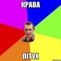 Крава Пітух