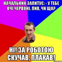 Начальник запитує: - У тебе очі червоні. Пив, чи що? Ні! За роботою скучав, плакав!