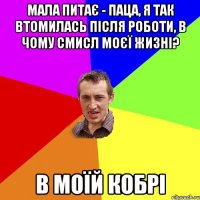 мала питає - паца, я так втомилась після роботи, в чому смисл моєї жизні? в моїй кобрі