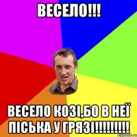 ВЕСЕЛО!!! весело козі,бо в неї піська у грязі!!!!!!!!!