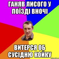 ганяв лисого у поїзді вночі витерся об сусідню койку