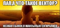 Пап,а что такое вектор? Незная сынок,я Жаксылык Сугиралиев