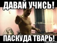 давай учись! паскуда тварь!