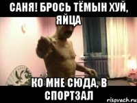 Саня! Брось Тёмын хуй, яйца Ко мне сюда, в спортзал