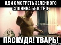 ИДИ СМОТРЕТЬ ЗЕЛЕННОГО СЛОНИКА БЫСТРО, ПАСКУДА! ТВАРЬ!