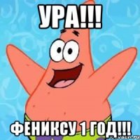 Ура!!! Фениксу 1 Год!!!