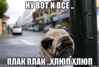 ну вот и все .. плак плак ..хлюп хлюп