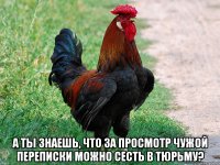  а ты знаешь, что за просмотр чужой переписки можно сесть в тюрьму?