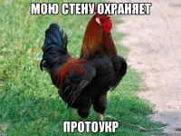 Мою стену охраняет Протоукр