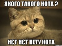 якого такого кота ? нєт нєт нету кота