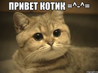 Привет Котик =^-^= 