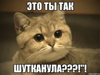 Это ты так Шутканула???!"!