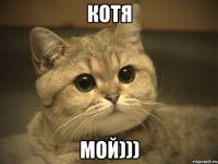 Котя Мой)))