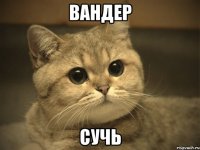 Вандер Сучь