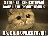 Я тот человек, который вообще не любит кошек. Да, да, я существую!