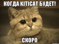 когда KitiCat будет! Скоро