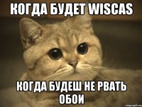 когда будет Wiscas Когда будеш не рвать обои