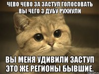 чево чево за заступ голосовать вы чего з дубу рухнули вы меня удивили заступ это же регионы бывшие.