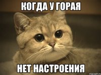 когда у горая нет настроения