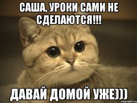 Саша, уроки сами не сделаются!!! давай домой уже)))