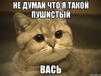 Не думай что я такой пушистый ВАСЬ