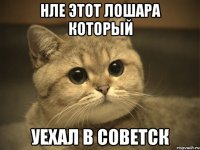 Нле этот лошара который уехал в Советск