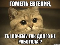 Гомель Евгения, ты почему так долго не работала ?