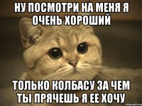 ну посмотри на меня я очень хороший только колбасу за чем ты прячешь я ее хочу