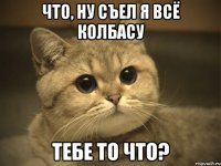 Что, ну съел я всё колбасу тебе то что?