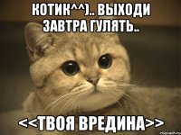 Котик^^).. Выходи завтра гулять.. <<твоя вредина>>