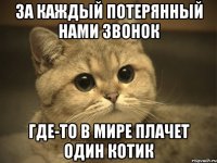 за каждый потерянный нами звонок где-то в мире плачет один котик