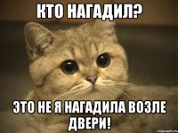 кто нагадил? это не я нагадила возле двери!