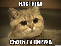 НАСТЮХА ЄБАТЬ ТИ СИРУХА