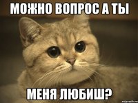 можно вопрос а ты меня любиш?