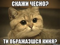 Скажи чесно? Ти ображаэшся киня?